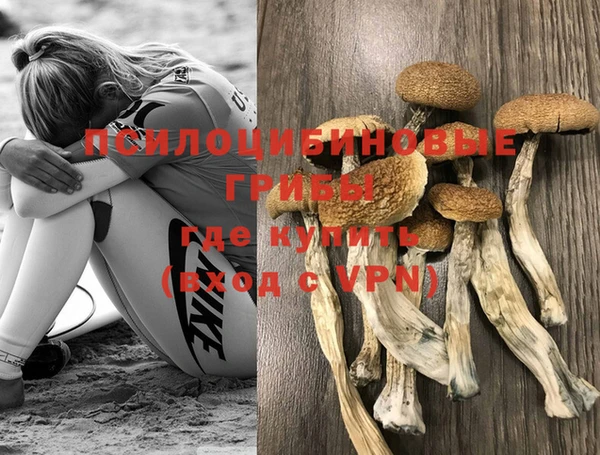 мяу мяу кристалл Надым